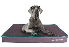 We did not find results for: 21 Of The Best Dog Beds You Can Get On Amazon