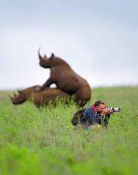 Photographer Greg Armfield misses the moment of rhinos mating in Nairobi  National Park. Photo by Jonathan Caramanus