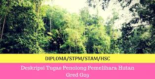 Penolong pegawai veterinar (gred g27) 19. Deskripsi Tugas Penolong Pemelihara Hutan Gred G29 Spa