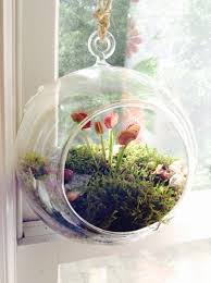 Diy Hanging Terrarium Planter Gravel Mosses Some Decorative Pebbles Hang It With Braided Twine Ideal For V Hanging Terrarium Terrarium Decorative Pebbles