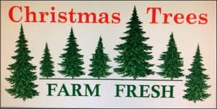 Let all your website visitors know when and where they can come be a part of your upcoming christmas eve service with this christmas tree lights church website banner. Banner 3 X 6 Christmas Trees Farm Fresh Evans Christmas Supply