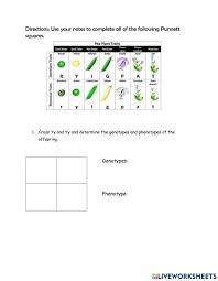 For all of the following questions, use these facts: Monohybrid Cross Practice Worksheet