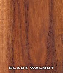 Image result for Brown 1999 Fleet