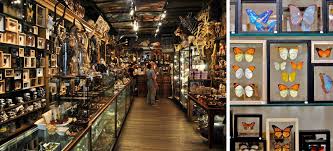 Whitefinder found 505 fabric stores in new york, ny. New York Fabric Do This Not That Suzy Quilts