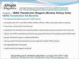 Cells were inspected for cytopathic effect daily up to 14 days. Products Vero Transfection Reagent Monkey Kidney Cells Altogen Biosystems Offers The Vero Cell Transfection Reagent Among A Host Of 100 Cell Line Ppt Download
