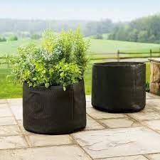 I'd put exactly one in a 20 diameter pot. Smart Pots 2 Gallon Smart Pot Soft Sided Container Black Grow Bags Patio Lawn Garden Urbytus Com
