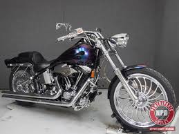 Image result for Vivid Black 1994 FXSTS