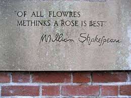 A Rose Is Best Shakespeare Quotes William Shakespeare Quotes Rose Quotes
