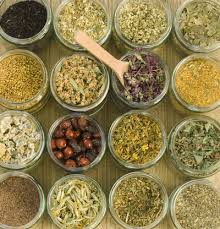 phytotherapy ile ilgili görsel sonucu