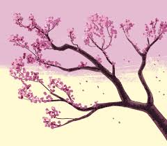 One cherry blossom that's an early flowering variety is prunus 'okame.' there are about 400 species of prunus and many, many more hybrids and cultivars. Cherry Blossoms In My Hair Kill Your Darlings