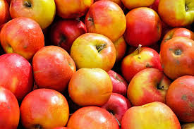 What are the best apples for storing? Love Food Hate Waste