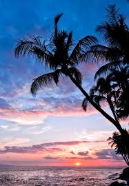 Hoje Eu Só Quero Que O Dia Termine Bem Tumblr Another Beautiful Hawaiian Sunset With Palm Trees Sunset Purple Sunset Sunset Wallpaper Hawaiian Sunset