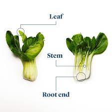 Needed a bit more oil then the recipe calls for especially if you don't have access to a wok and need. Everything You Need To Know About Cooking And Shopping For In Season Bok Choy Stories Kitchen Stories