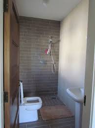 Love The European Shower Idea Wet Room Shower Wet Rooms Small Bathroom