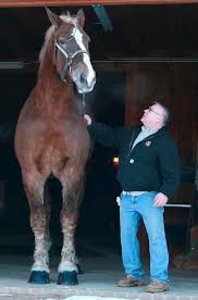 Von top weingütern und den heimlichen stars! Wisconsin Family Mourns The Loss Of Big Jake The World S Tallest Horse