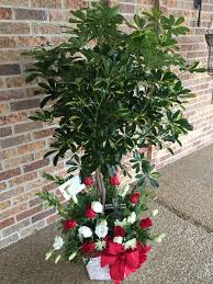 Teleflora's pretty pastel bouquet $39.99 buy now > send mother's day flowers for the best and freshest flowers in greensboro, plants and answers florist has exactly what you're looking for! Live Plant With Fresh Flower Arrangement Fresh Flowers Arrangements Live Plants Plants