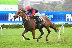 Tapp-Craig 2024 Betting