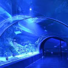 Atlantis Aquarium Madrid Arroyomolinos Reviews Pacommunity