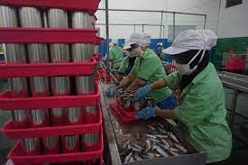 Beli ikan sarden terdekat & berkualitas harga murah 2021 terbaru di tokopedia! Pasca Temuan Cacing Pabrik Stop Produksi Ikan Makarel Kaleng