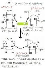 車山高原レア メモリーが語る イネ科植物