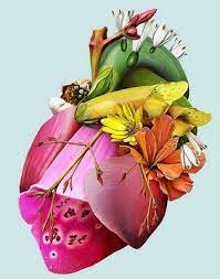 Maybe you would like to learn more about one of these? Pin By Naty Tree On Art Heart Art Anatomical Heart Art Heart Illustration