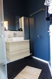 Benjamin Moore Ardiatic Blue Badezimmer Streichen Badezimmer Design Badezimmerideen