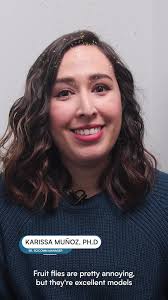 Who knew fruit flies could hold the secret to longevity? 🍎🪰 Karissa  Muñoz, Ph.D., dives into the world of RejuvaBio and RejuvaAI, where fruit  flies are paving the way for groundbreaking #longevity ...