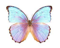Christmas Centerpiece Deco Mesh Centerpiece Purple Etsy Purple Butterfly Tattoo Blue Butterfly Blue Morpho