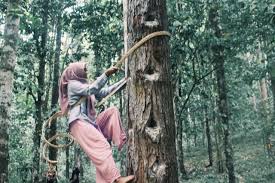 Satu dari banyak foto stok gratis yang menakjubkan dari pexels. Foto Profil Wa Keren Perempuan Berhijab Rajiman