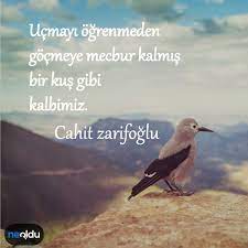 Şair cahit zarifoğlu hayatı ve hakkındaki bilgilere ulaşabilirsiniz. Cahit Zarifoglu Sozleri Cahit Zarifoglu Nun Ask Sozleri Ve Guzel Siirleri