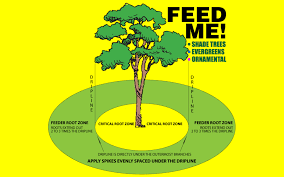 For fruit tree fertilizers, jobe's organics 09226 fertilizer yet manages to come in the first place. How To Fertilize Trees And Shrubs Grass Pad