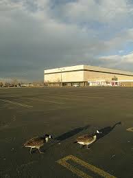 Buckingham Square Mall Aurora Colorado Colorado Travel Denver History Colorado