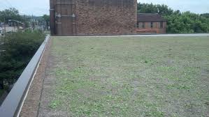 Usps Green Roof Syracuse Ny Green Infrastructure Save The Rain Green Roof Roof Roof S