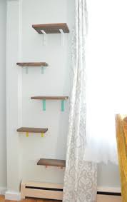 Cat Shelves Yes You Read That Right Plaster Disaster Fun for each you and your peteverybody is aware of that cats want to climb on things.