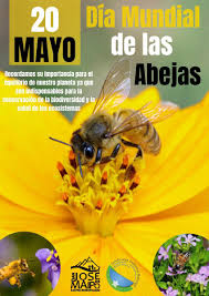Quedan 225 días para finalizar el año. San Jose De Maipo On Twitter Hoy 20 De Mayo Se Conmemora El Dia Mundial De Las Abejas Para Crear Consciencia Sobre La Importancia De Los Polinizadores Las Amenazas A Las