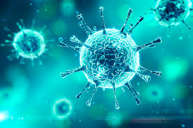 7 поширених питань про новий коронавірус | Департамент охорони ...
