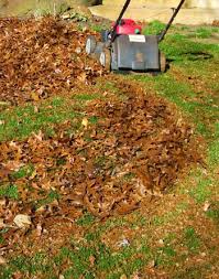 Maybe put some mulch on top, and then some new plants. Smart Gardeners Mulch Fallen Leaves Into Lawn To Save Money Msu Extension