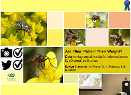 Check spelling or type a new query. Beyondbees Insect Ecology Communication