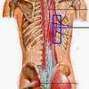 Tentunya dokter lebih dapat menganalisa cara untuk mengobati. Https Encrypted Tbn0 Gstatic Com Images Q Tbn And9gcsak5bxslbjbsbh6pqoi Di1cngqxxxfrfu2u Oatnzvrmrdpar Usqp Cau