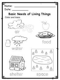 Kindergarten Ngss From Molecules To Organisms What Do Plants And Animals Need Ngss Kindergarten Kindergarten Worksheets Ngss