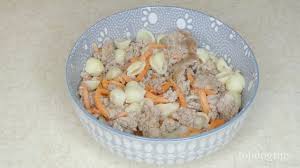 Here are some healthy dog food recipes to help your diabetic canine pet live a happy life. Diabetic Dog Home Cooked Diet Youtube