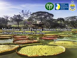 Hasil carian imej untuk penang botanic gardens