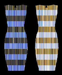 Black And Blue White And Gold Dress Explanation The Science Behind The Dress With Images Color White Gold Dress Dresses