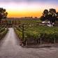 Bokisch Vineyards Dinner at Vintner’s Table event in Lodi, CA