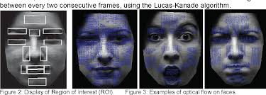 PDF] Online emotional facial expression dictionary