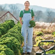 Women S Railroad Striped Overalls Overalls Overalls Women Gardening Outfit