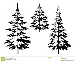 1040 x 1469 jpeg 308 кб. Tree Tattoo Black And White Pine Tree Outline Sketch Coloring Page Tattooviral Com Your Number One Source For Daily Tattoo Designs Ideas Inspiration