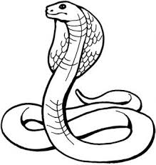 Cobra Information And Gallery Snake Coloring Pages Animal Coloring Pages Coloring Pages For Kids