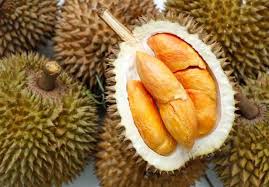 Upah minimum ini adalah merupakan standar upah paling rendah yang wajib digunakan oleh pengusaha dalam pembayaran gaji pekerja. Durian Senja Pelangi Yang Manis Dan Pahit