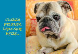 Find affordable care for your pets today. Kindness Pet Hospital Santa Rosa Beach Veterinary Clinic